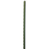 Smart Support Steel Stakes, 5'