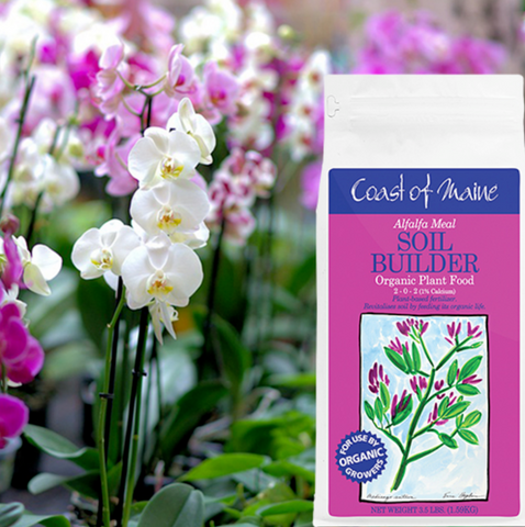 Alfalfa Meal - Soil Builder