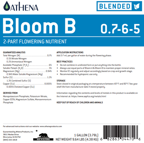Athena Bloom B