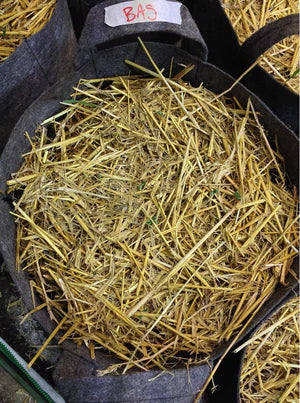 BAS Barley Straw Mulch