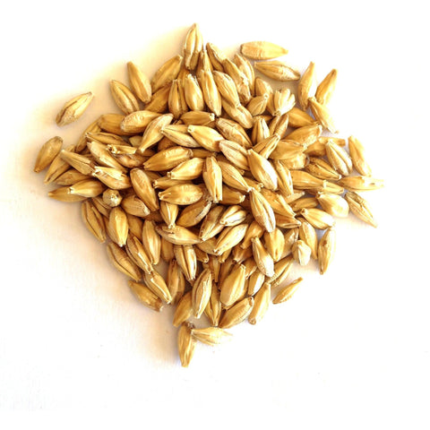 Malted Barley Grain for SST - Whole and Milled Barley Options Available