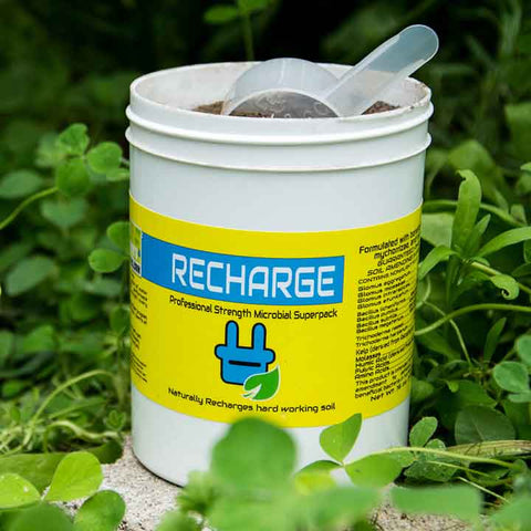 Recharge Microbial Superpack