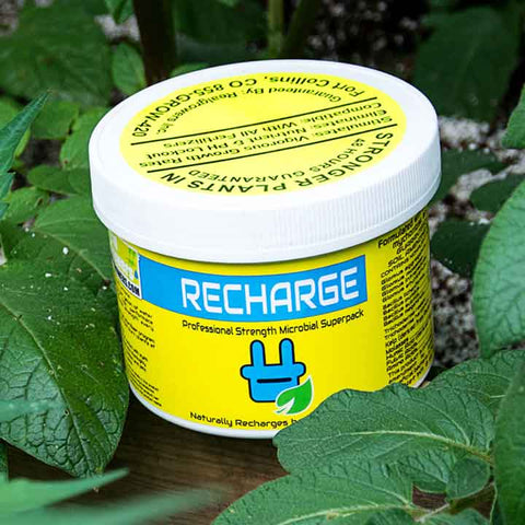 Recharge Microbial Superpack