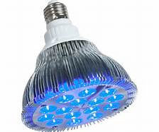 powerPAR LED Bulb - Blue 15W/E27